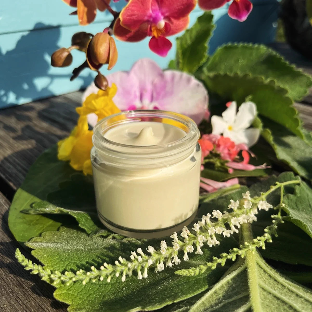 Vegan Skin Care