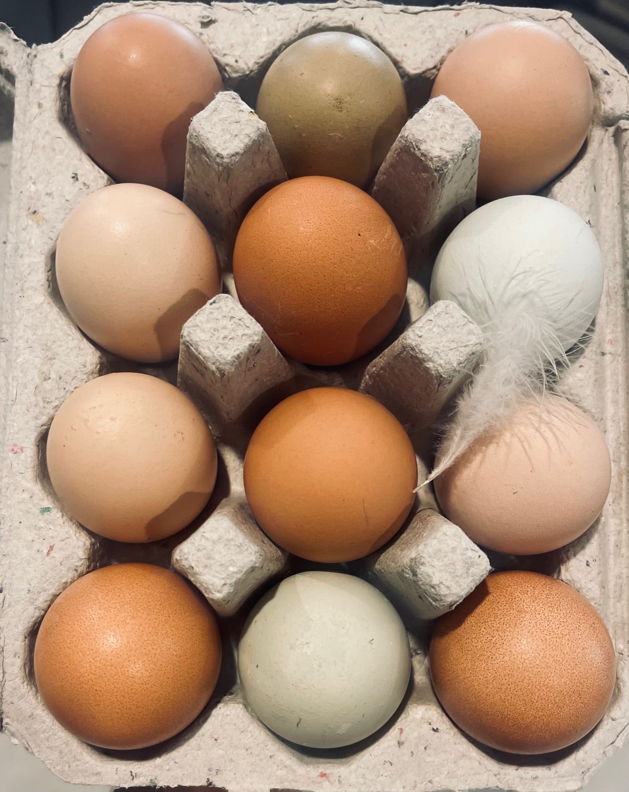 Eggs - Free Range, Soy Free, Organic, Non-GMO