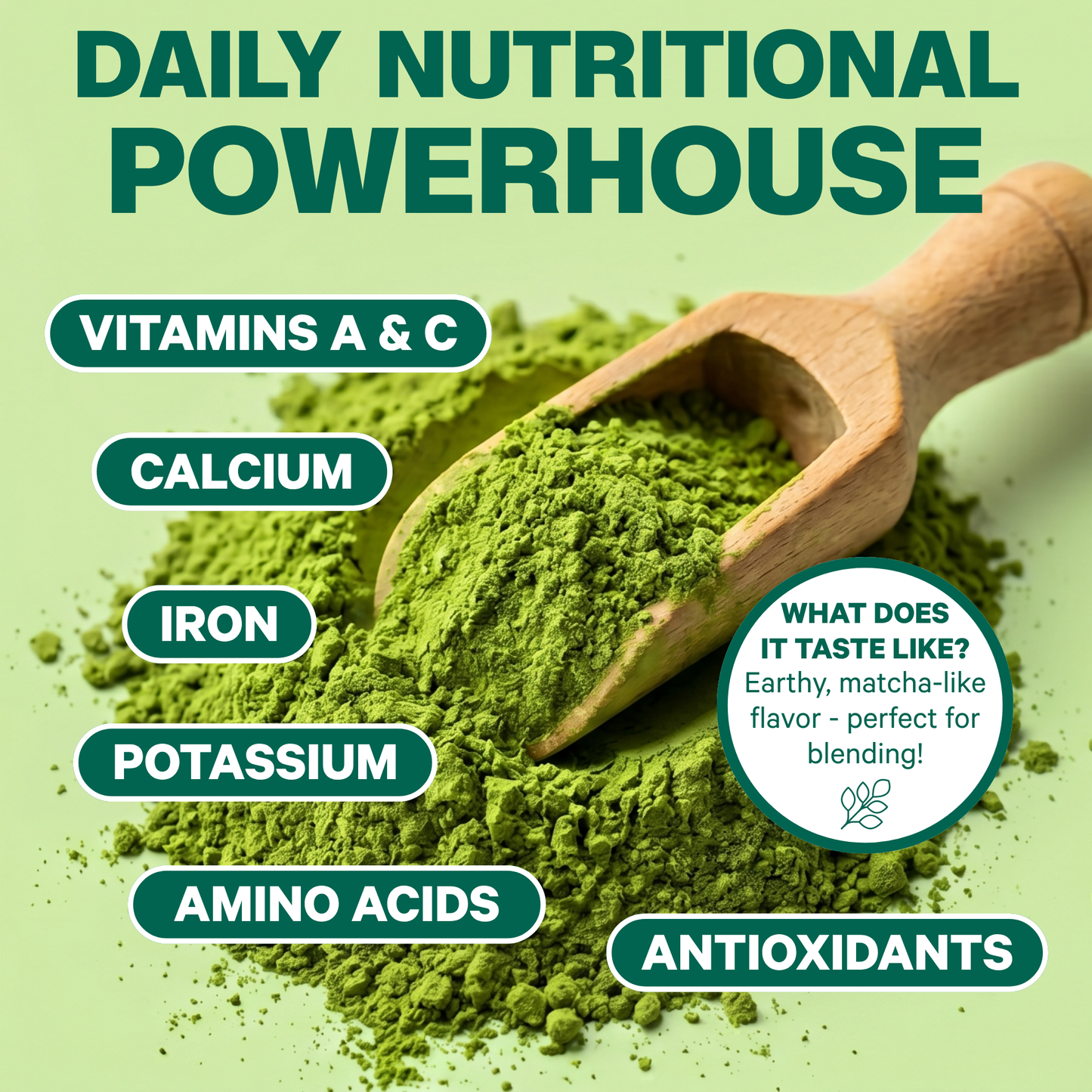 Organic Pure Moringa Powder (7.4 oz)