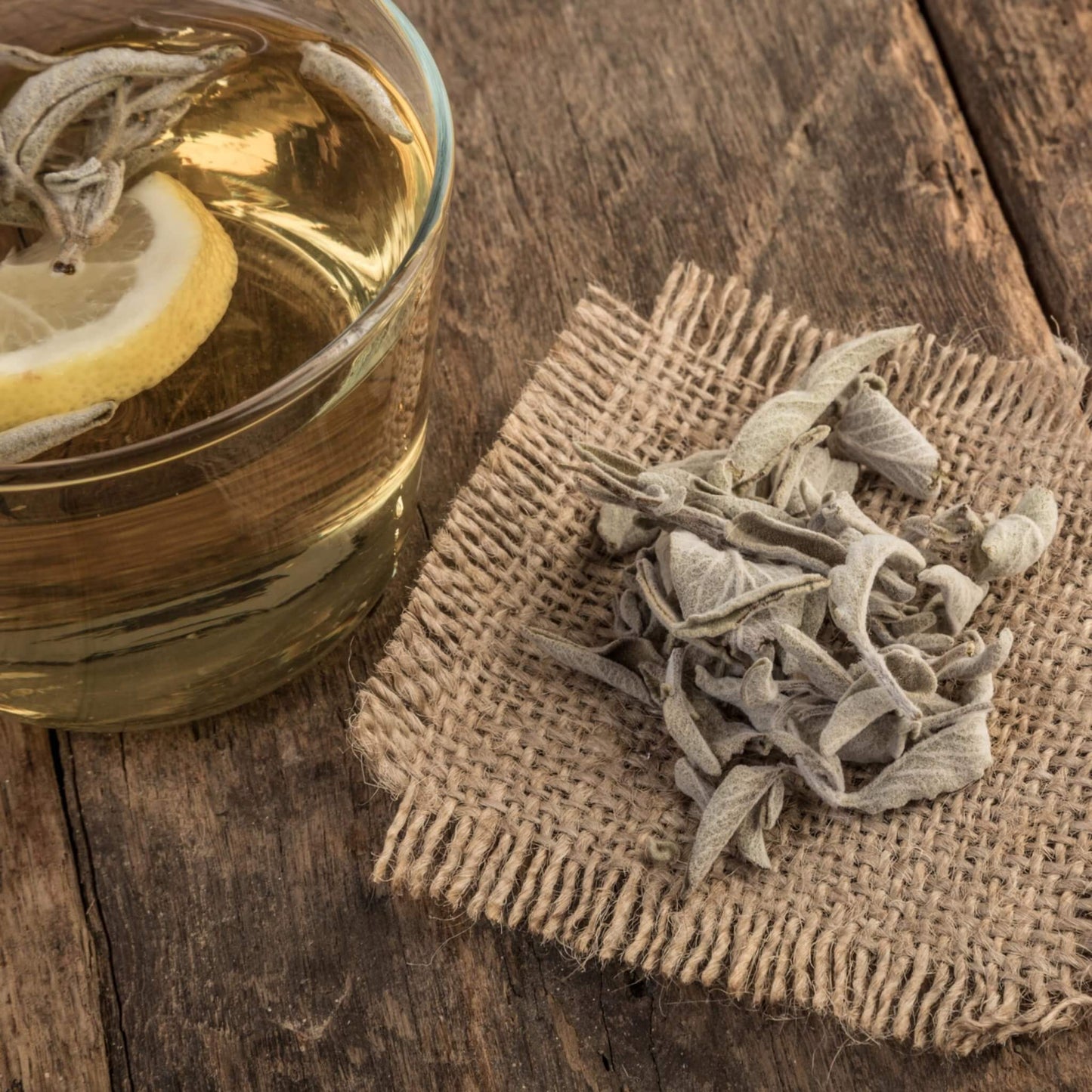 Greek Sage Tea (Ikaria Blue Zone)
